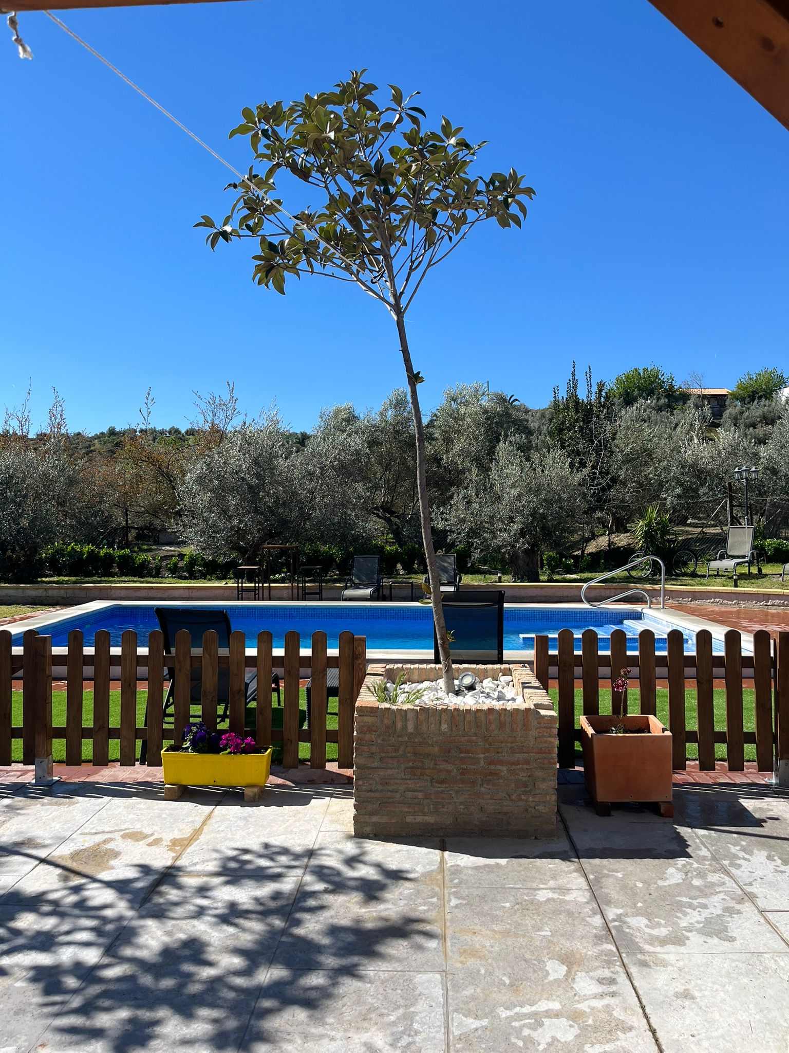 Terraza con acceso a la piscina
