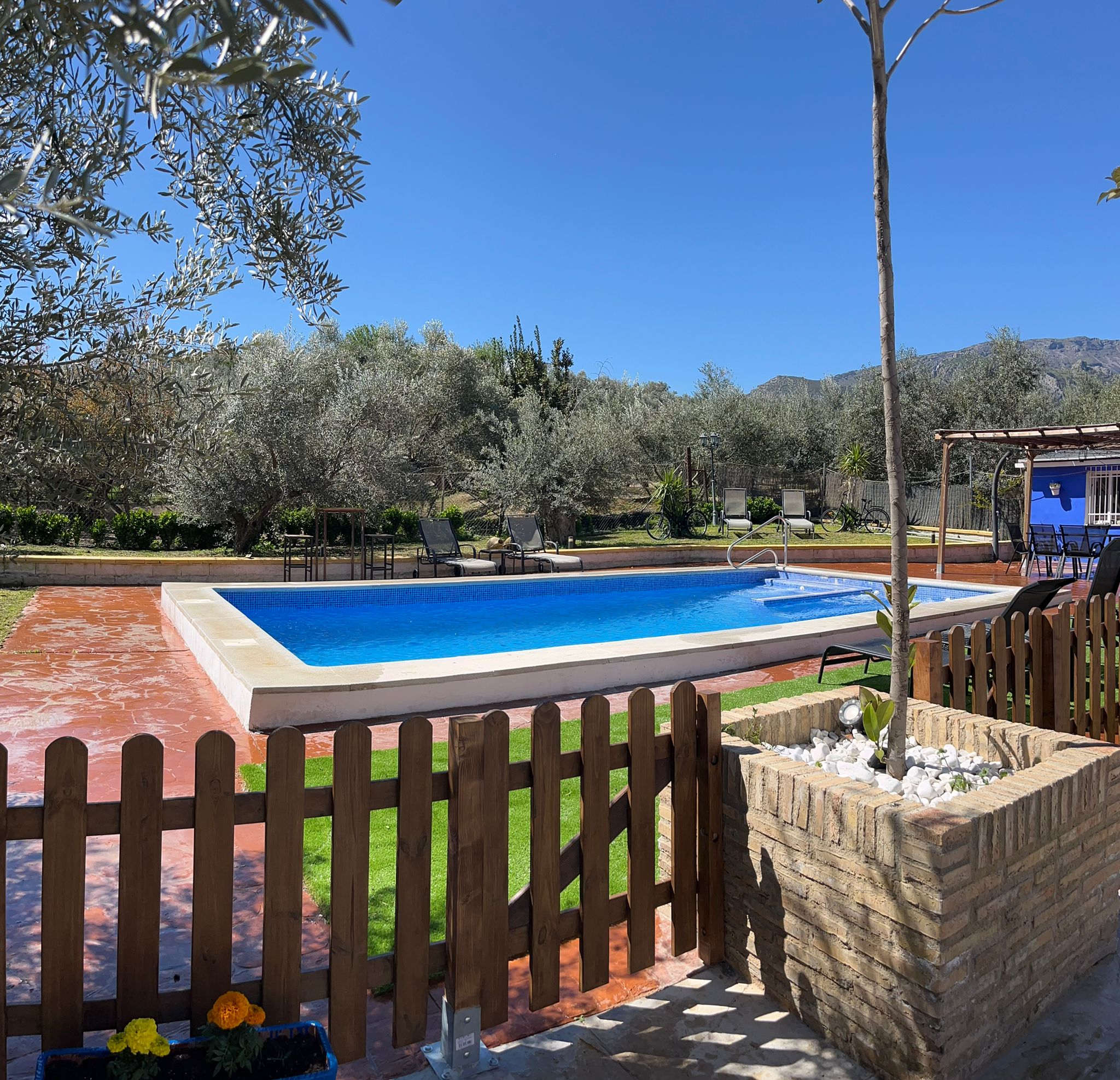 Piscina y área de descanso exterior