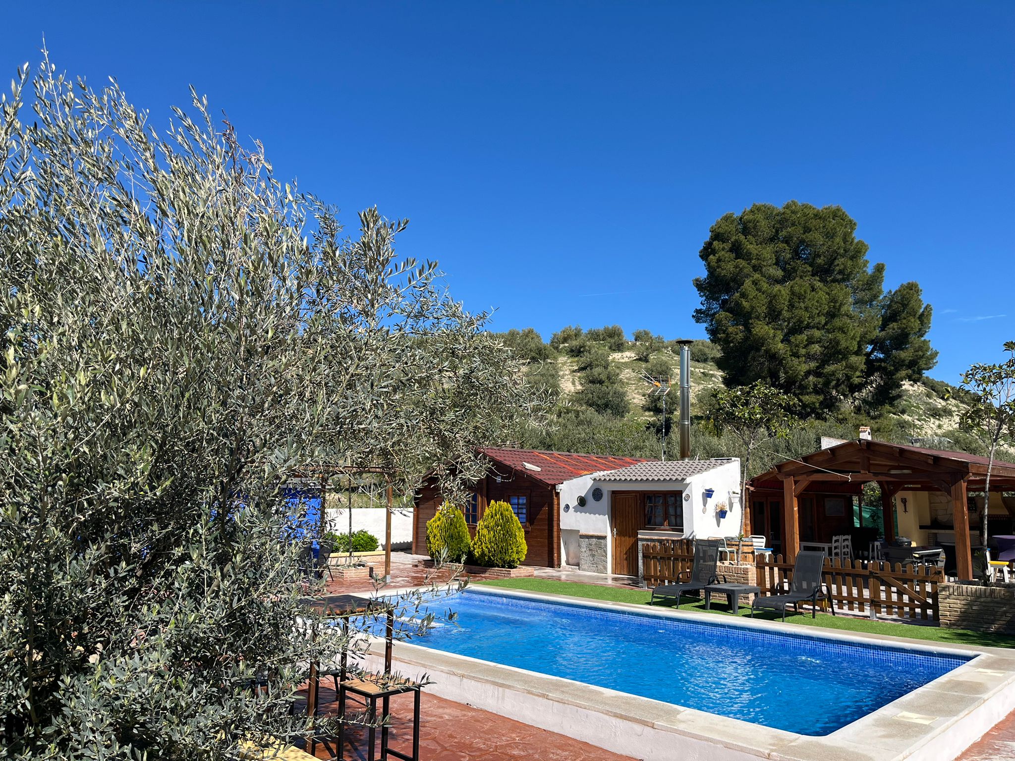 Vista exterior de la casa con piscina y olivares