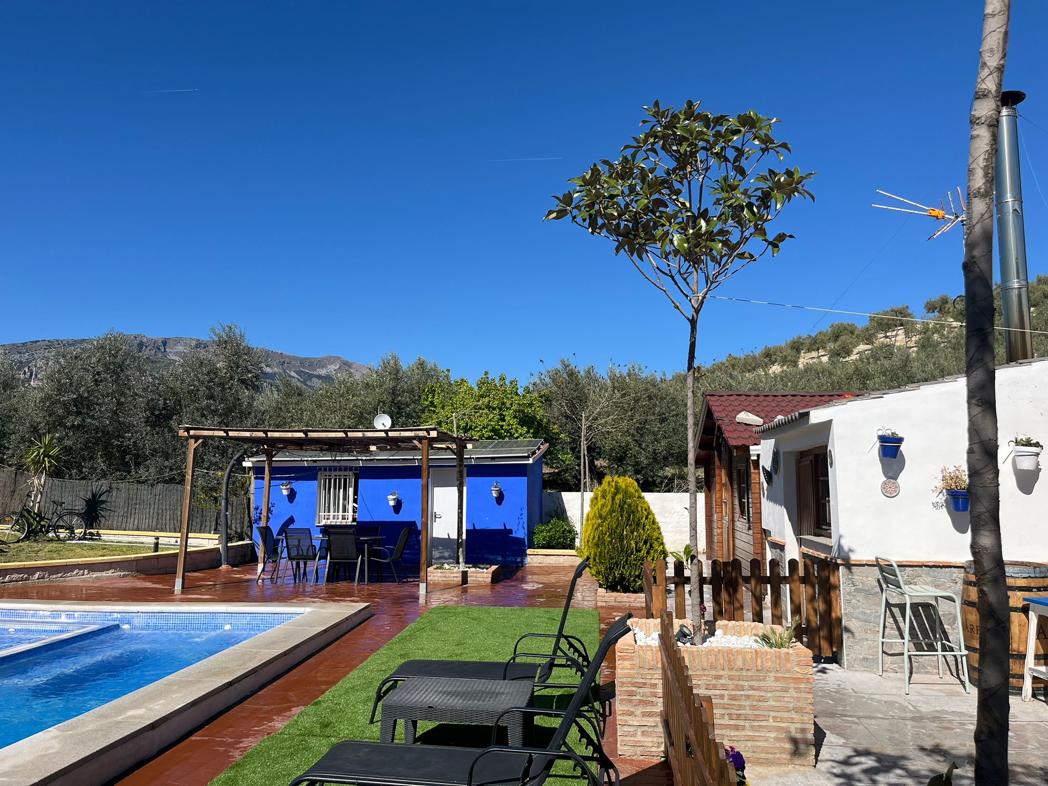 Zona de piscina con jardín verde