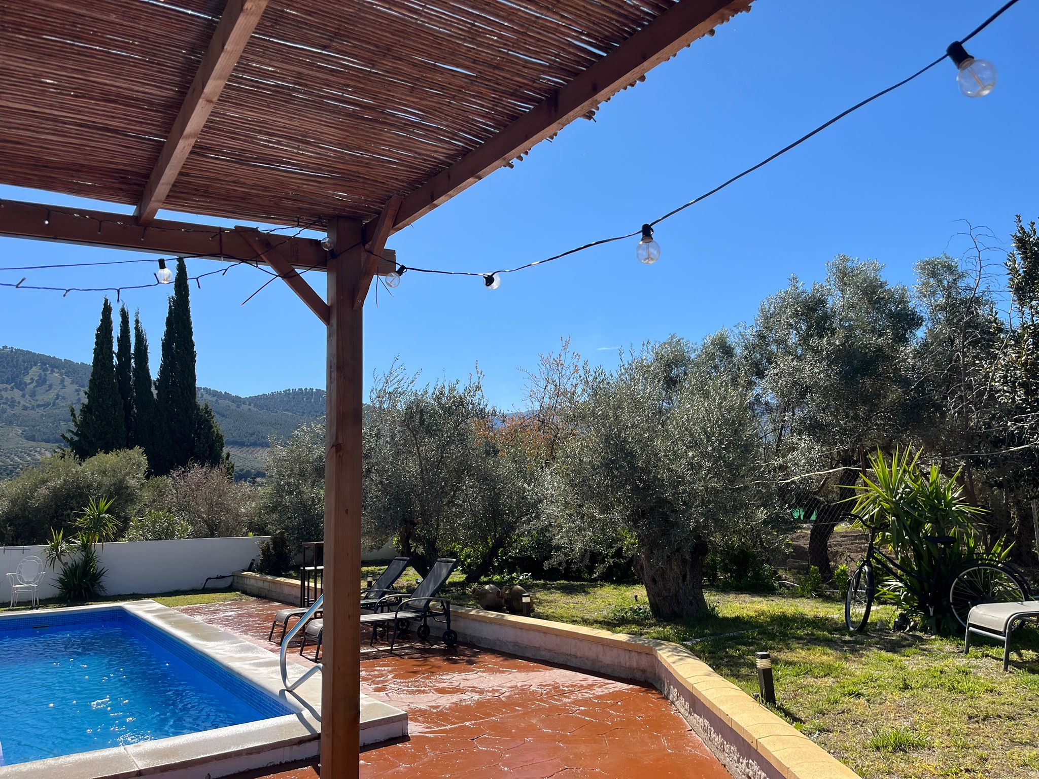 Pérgola con piscina y olivares al fondo