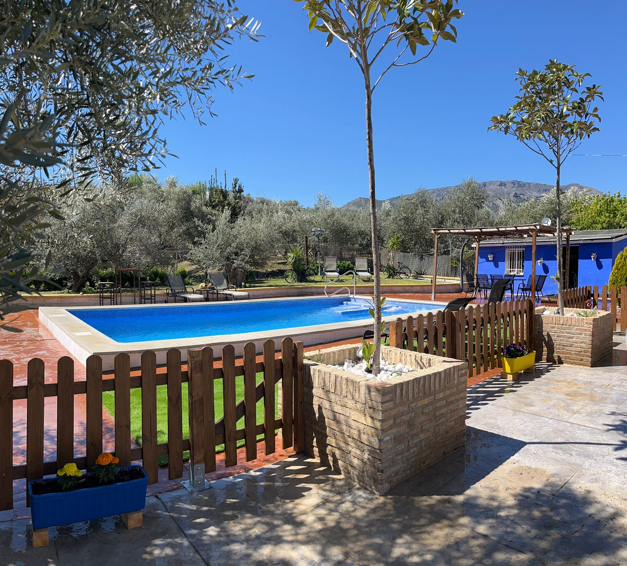 Vista de la piscina desde el jardín