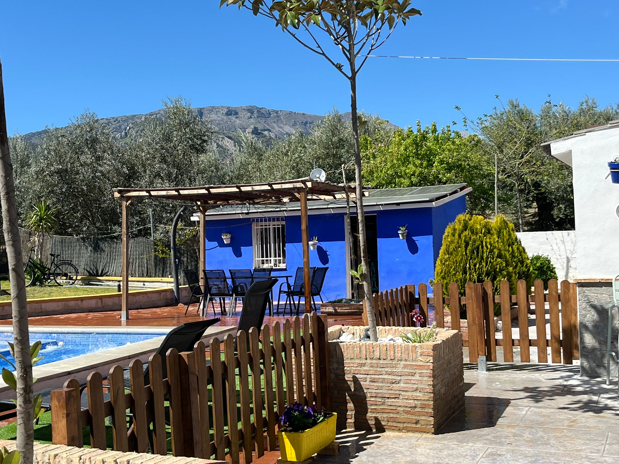 Piscina con tumbonas y casa azul al fondo